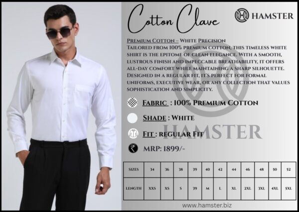 Regular Fit Formal Shirt -HAMSTER - Image 3
