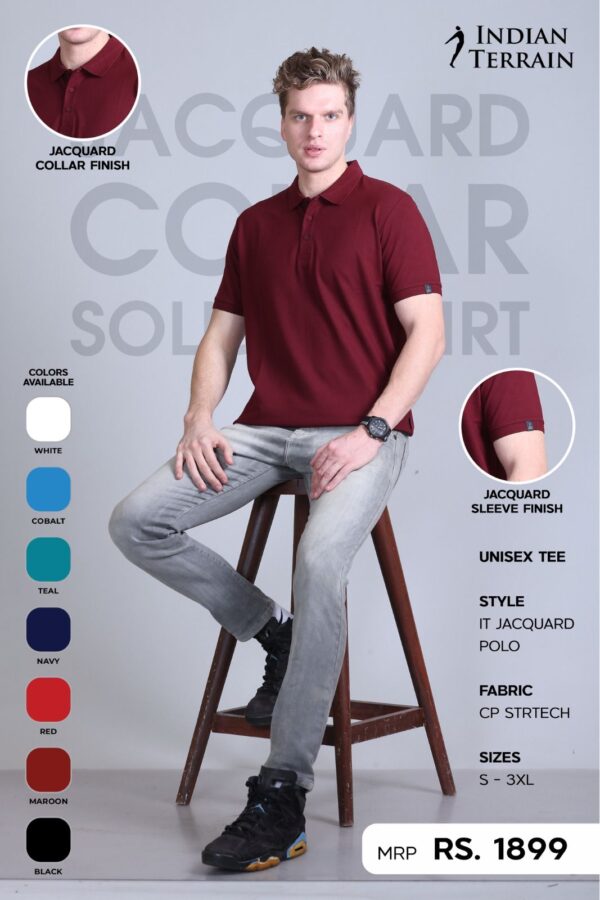 IT Jacquard Polo Tshirt -INDIAN TERRAIN - Image 6